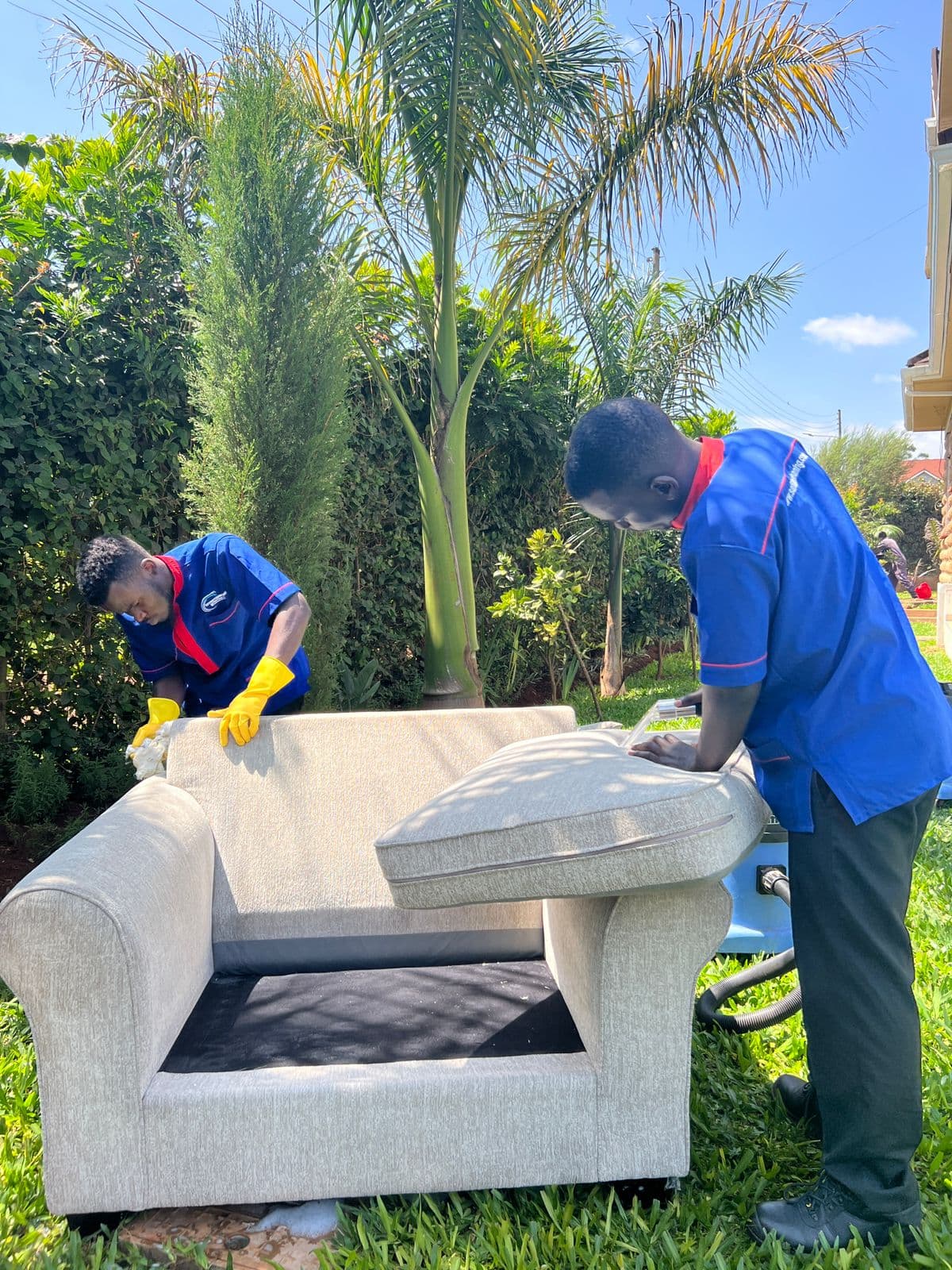 Professional sofa set cleaning services - living room